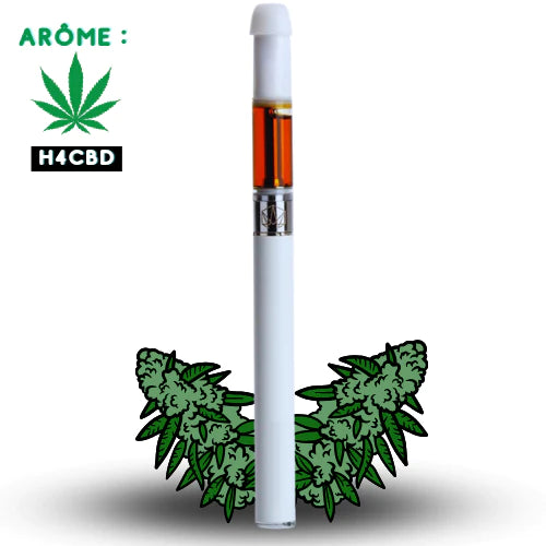 VAPE PEN H4CBD Stormrock High | Acheter sur Mana Botanics VAPE PEN H4CBD Stormrock High | Acheter sur Mana Botanics