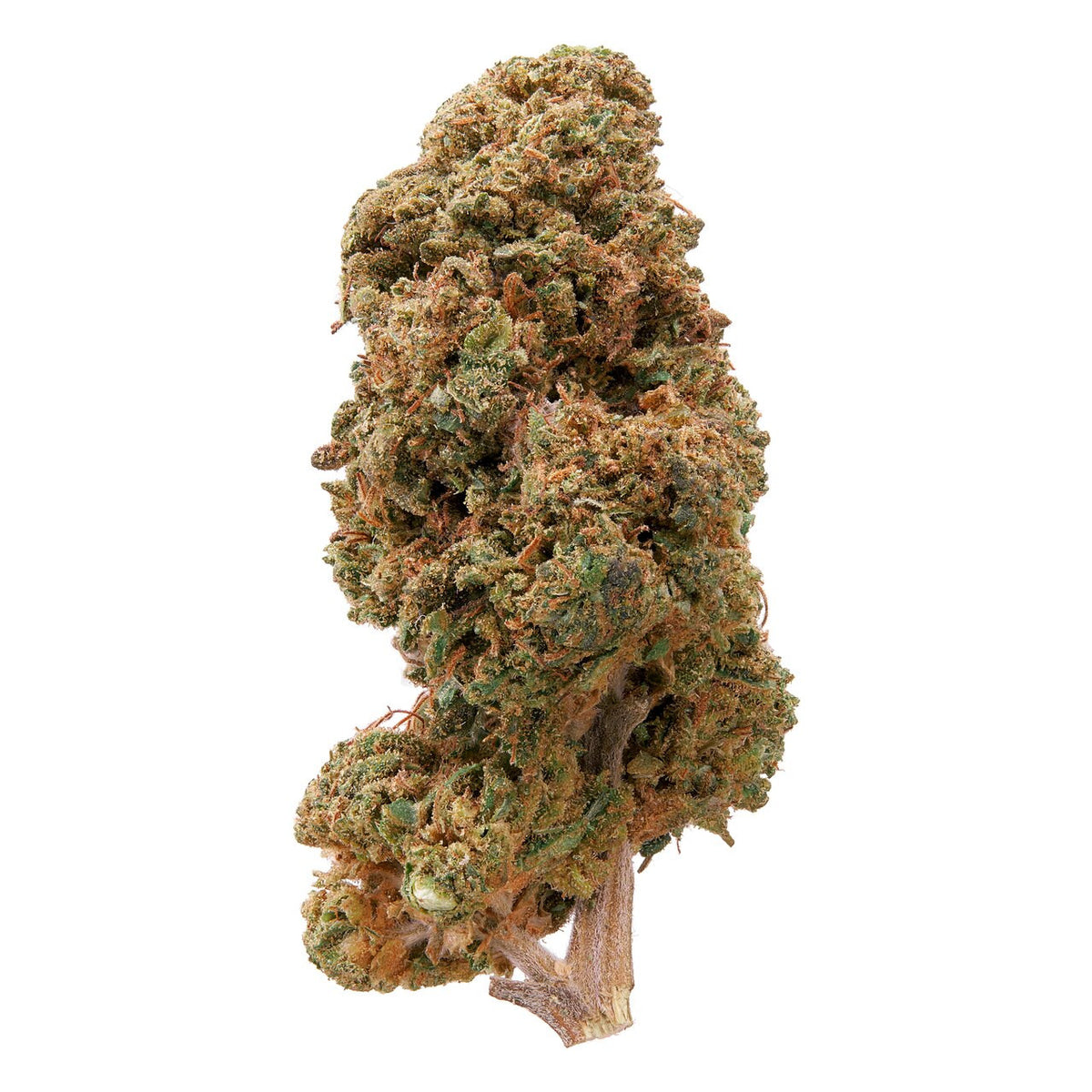 Blueberry Diesel CBD Plain Jane