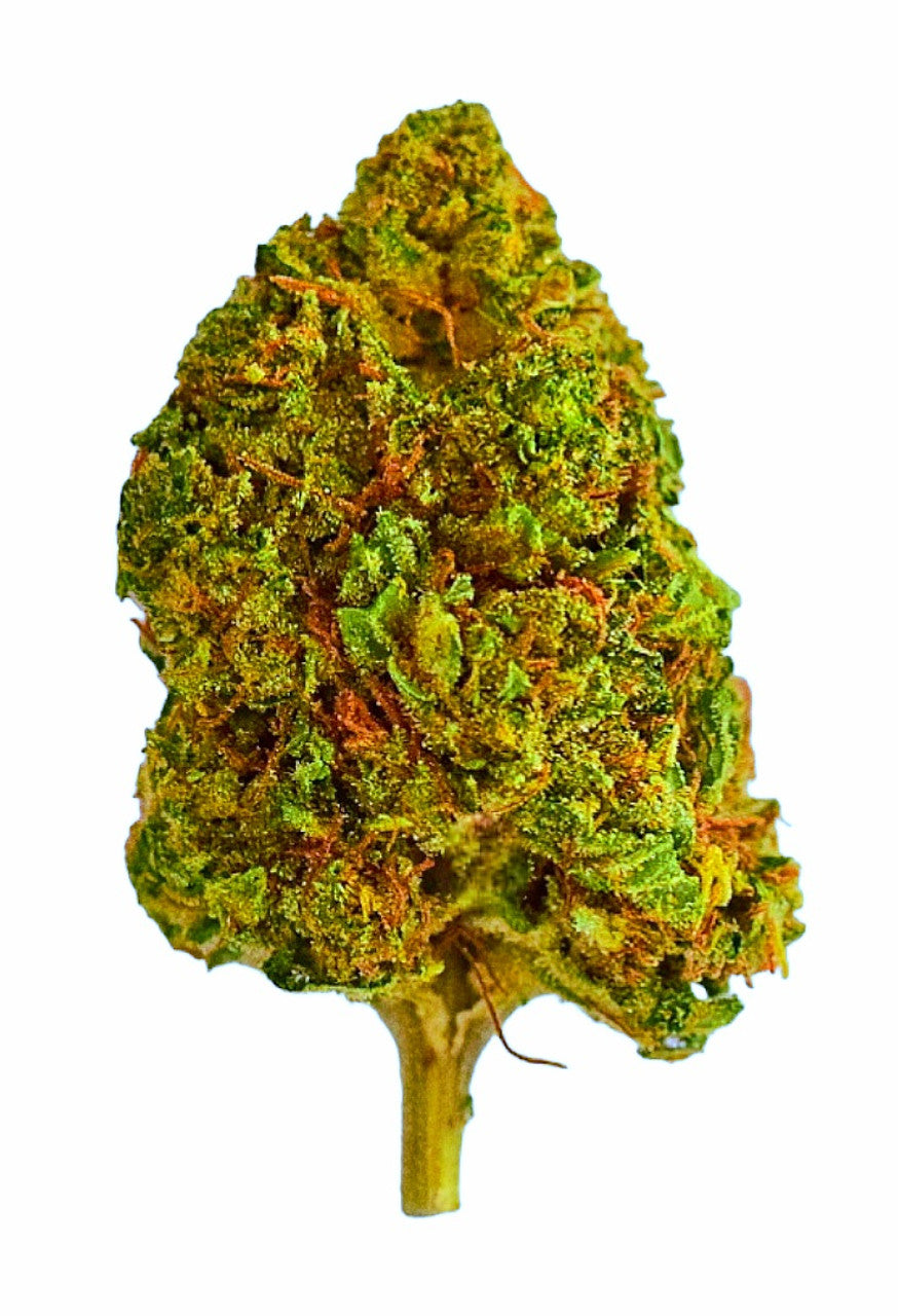 Bubba Kush CBD Plain Jane