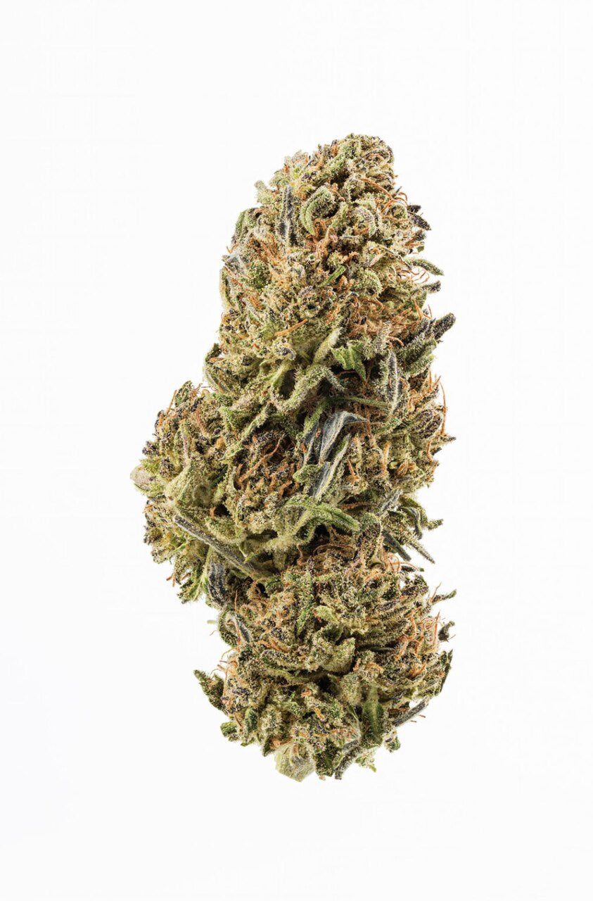 Lifter CBD Plain Jane