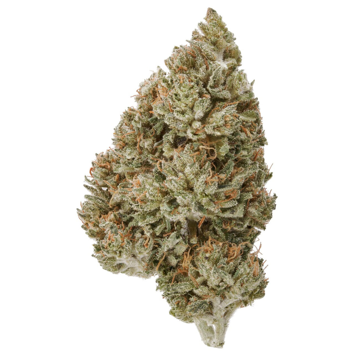 Purple Gas CBD Plain Jane