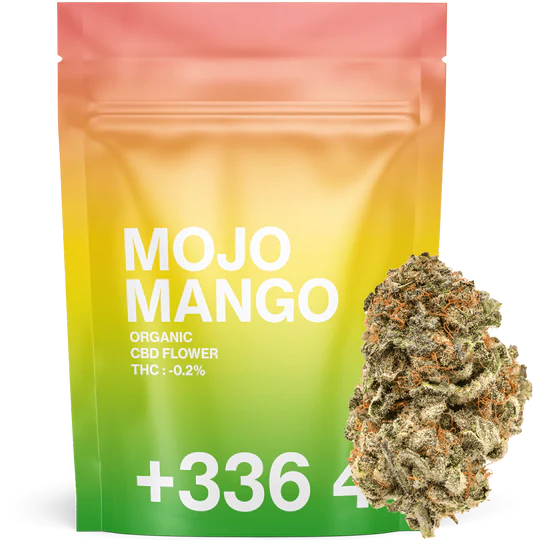 Mojo Mango CBD Tealerlab