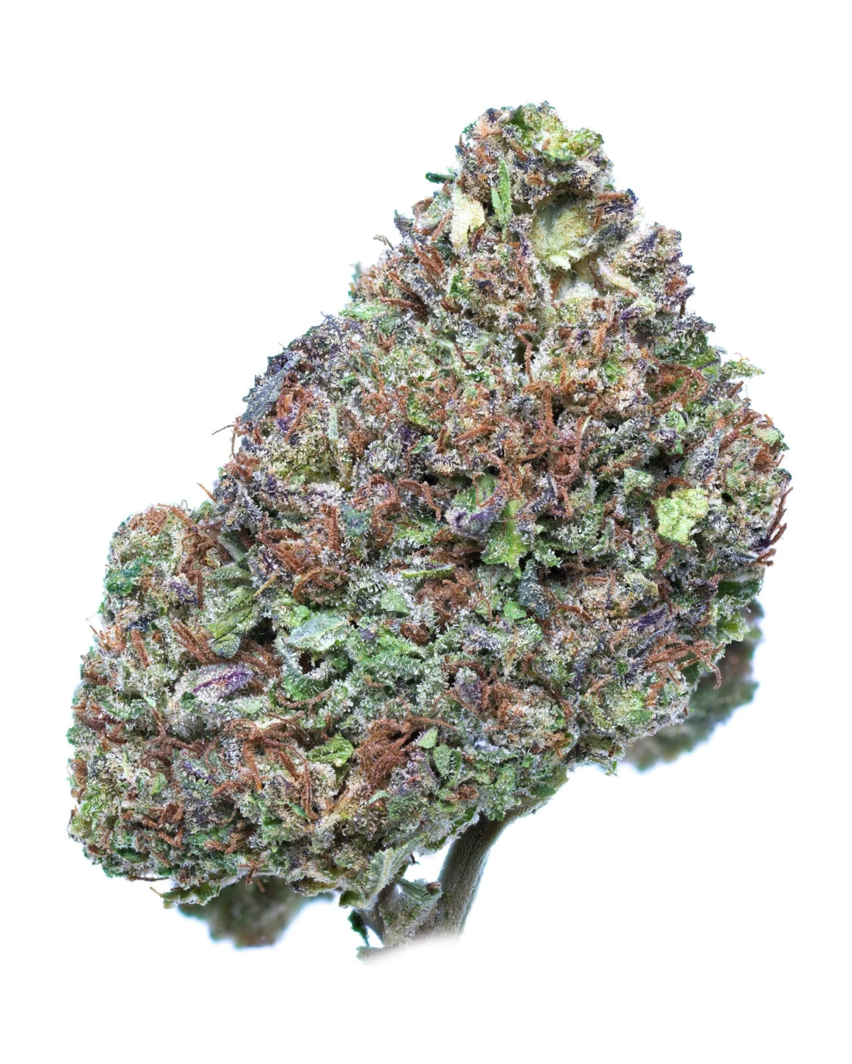 Secret Og CBD Secretnaturecbd